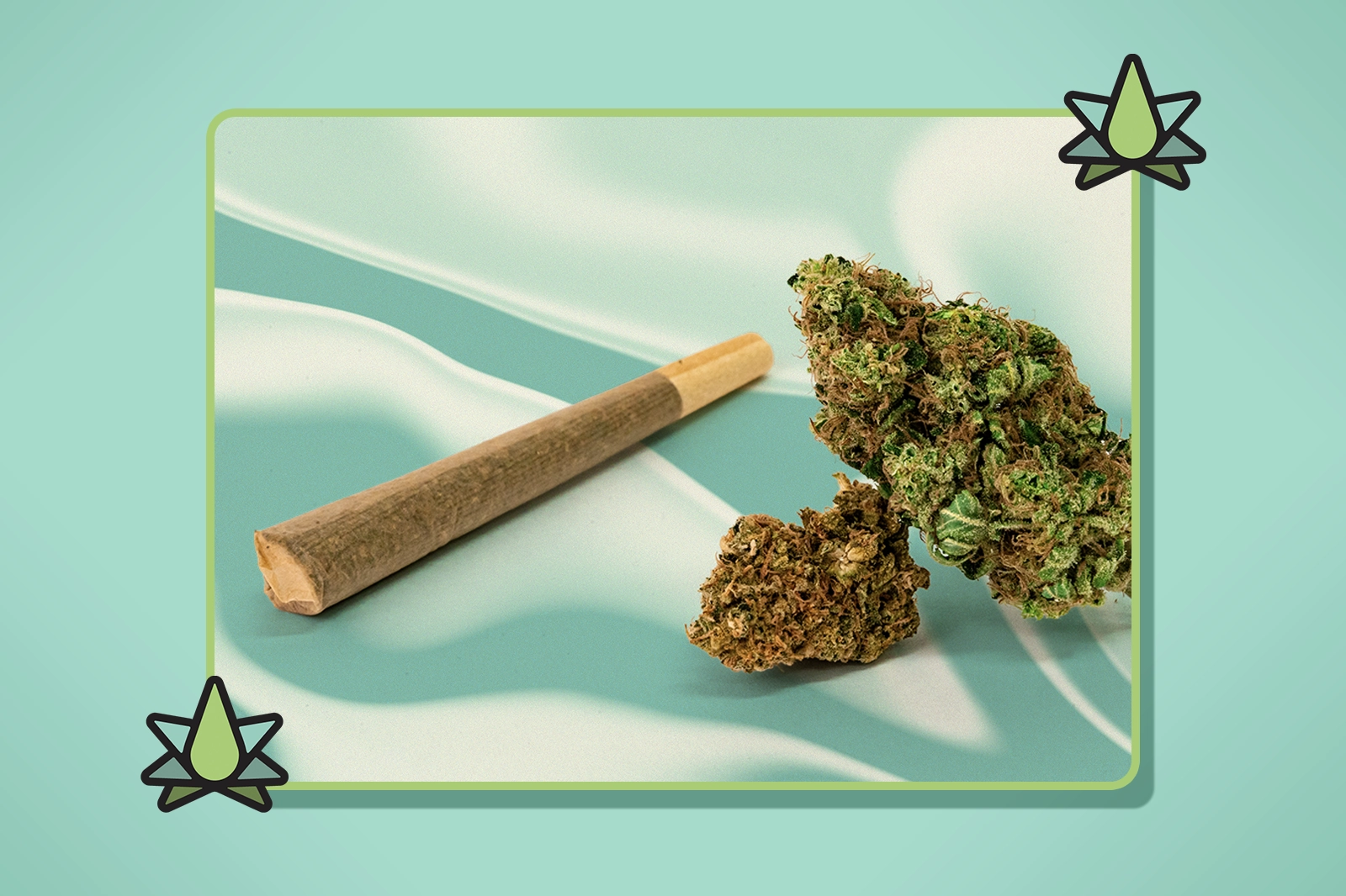 What Are Terpene Infused Wraps - Featured Image